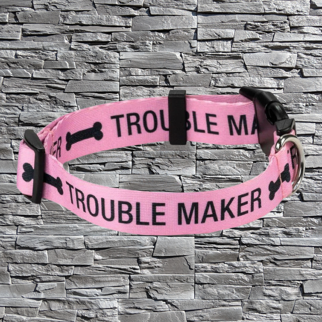 Dog Collar - Trouble Maker