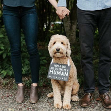 Load image into Gallery viewer, Dog/Baby Announcement Chalkboard
