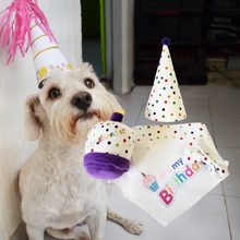 Load image into Gallery viewer, Dog Birthday Kit
