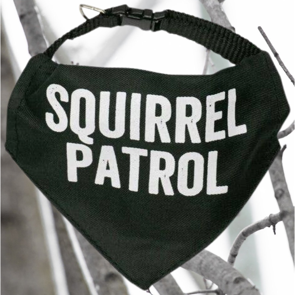 Dog Bandana Collar - Squirrel Patrol