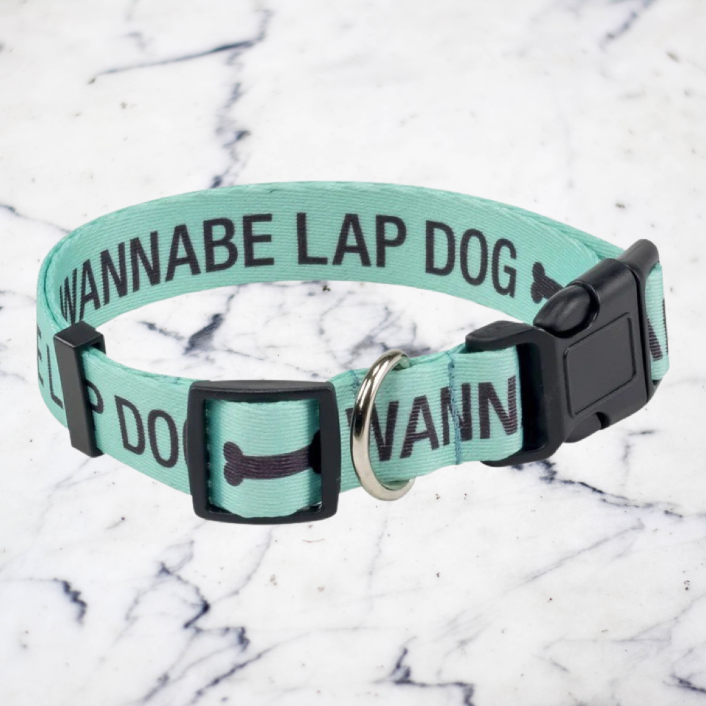 Dog Collar - Wannabe Lap Dog