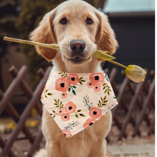 Load image into Gallery viewer, Dog Bandana - Blush Floral
