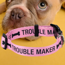 Load image into Gallery viewer, Dog Collar - Trouble Maker
