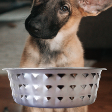Load image into Gallery viewer, Dog Bowl -  Stainless Steel

