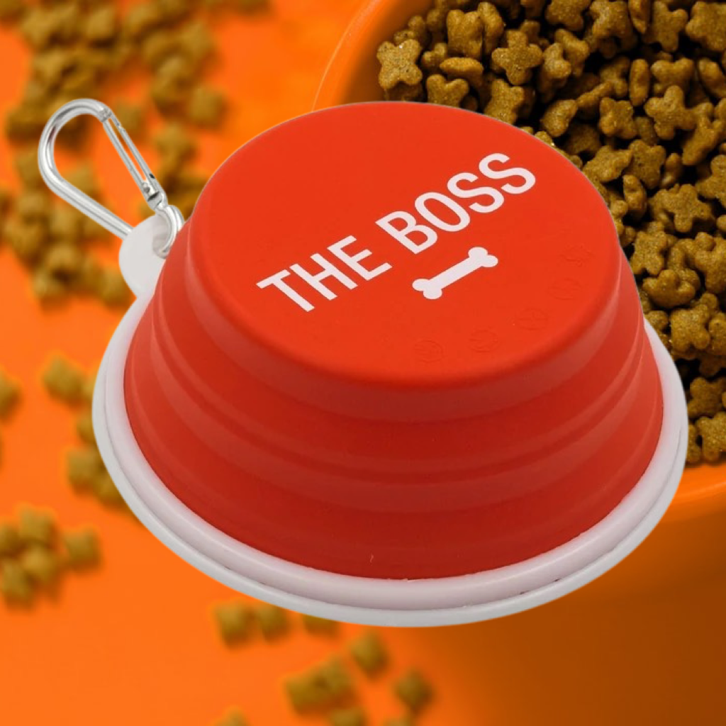 Collapsible Dog Bowl - The Boss