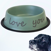 Load image into Gallery viewer, Dog Bowl - Matte Green
